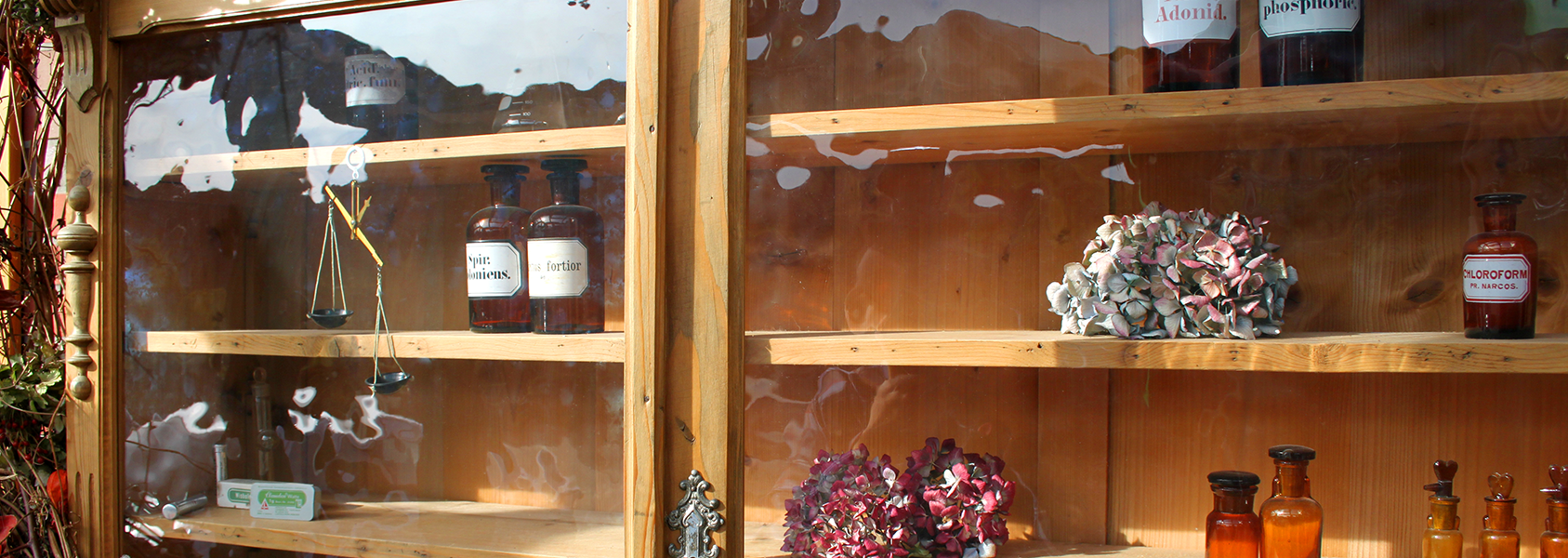 Detailansicht Apothekerschrank